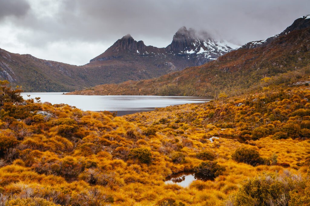 cradle mountain in tasmania australia 2023 11 27 05 35 09 utc