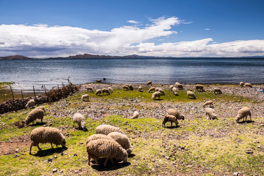 Best places to visit in South America: Lake Titicaca, Peru