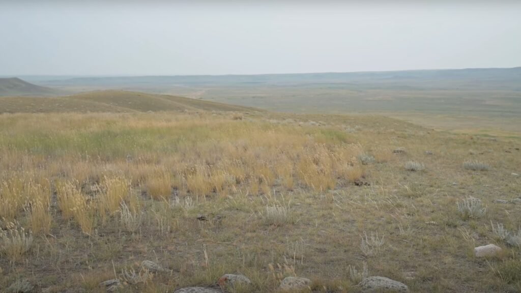 Grasslands National Park, Canada in Hidden Gems in Canada