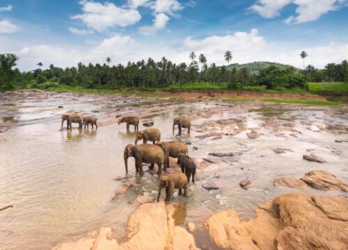 15 Best Places to Visit in Sri Lanka: A Complete Travel Guide to Top Destinations