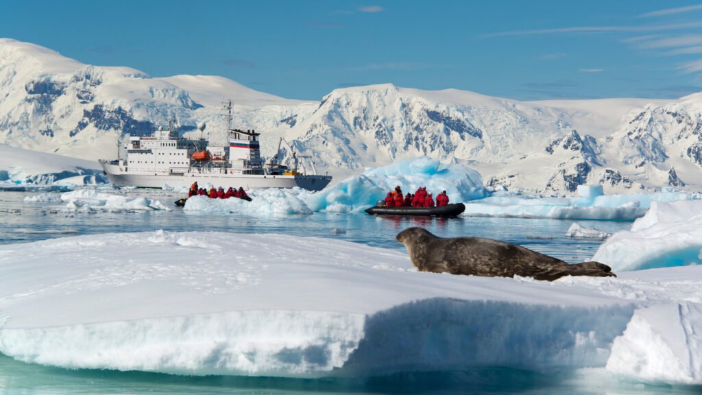 Icebergs and ice floes in the Antarctic