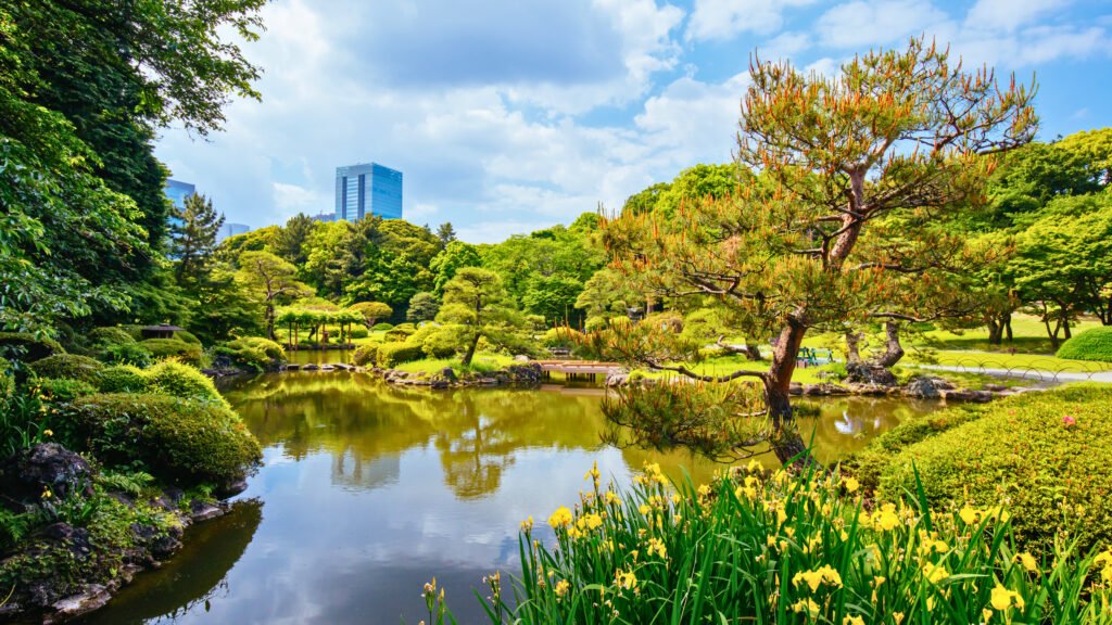 Scenic view of Shinjuku Gyoen National Garden in Tokyo, Japan, featuring a tranquil pond, lush greenery, blooming yellow flowers, and traditional Japanese landscaping with modern skyscrapers visible in the background.